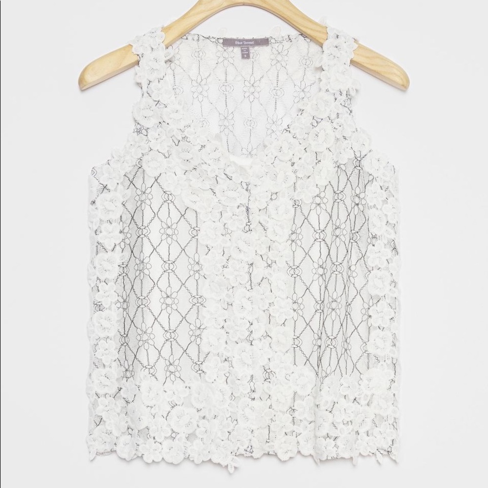 Anthropologie Lace Top - only worn once!